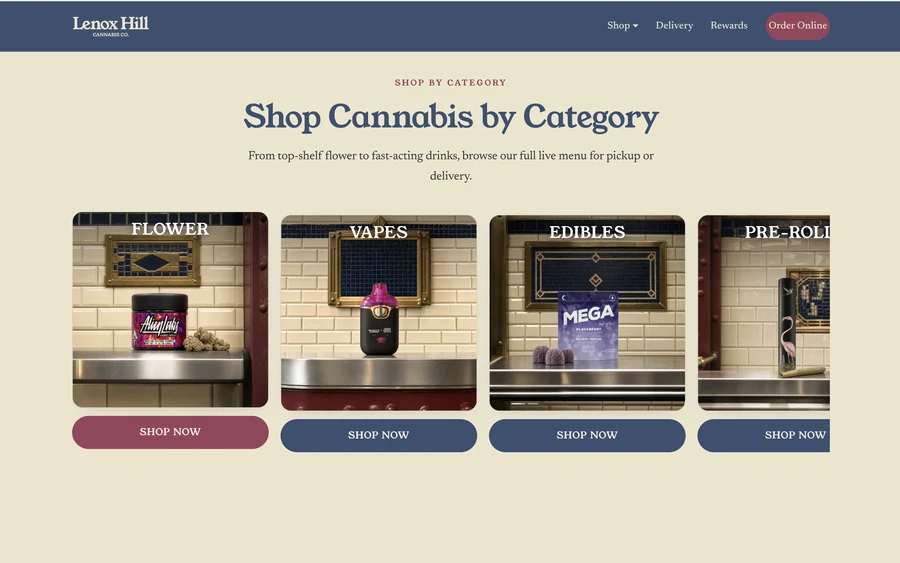 Lenox Hill website homepage